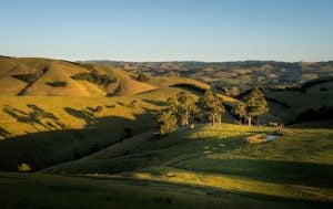 Unveiling the Truth Eating Disorder Statistics in Australia