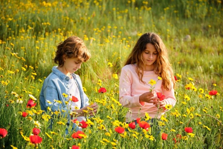 Children picking flowers in grassy meadow, concept of spending time with nature and environment