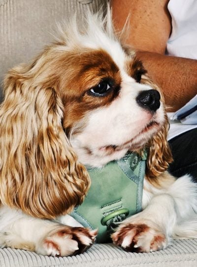 Processed with VSCO with fp8 preset