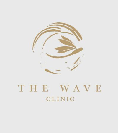 Logo The Wave